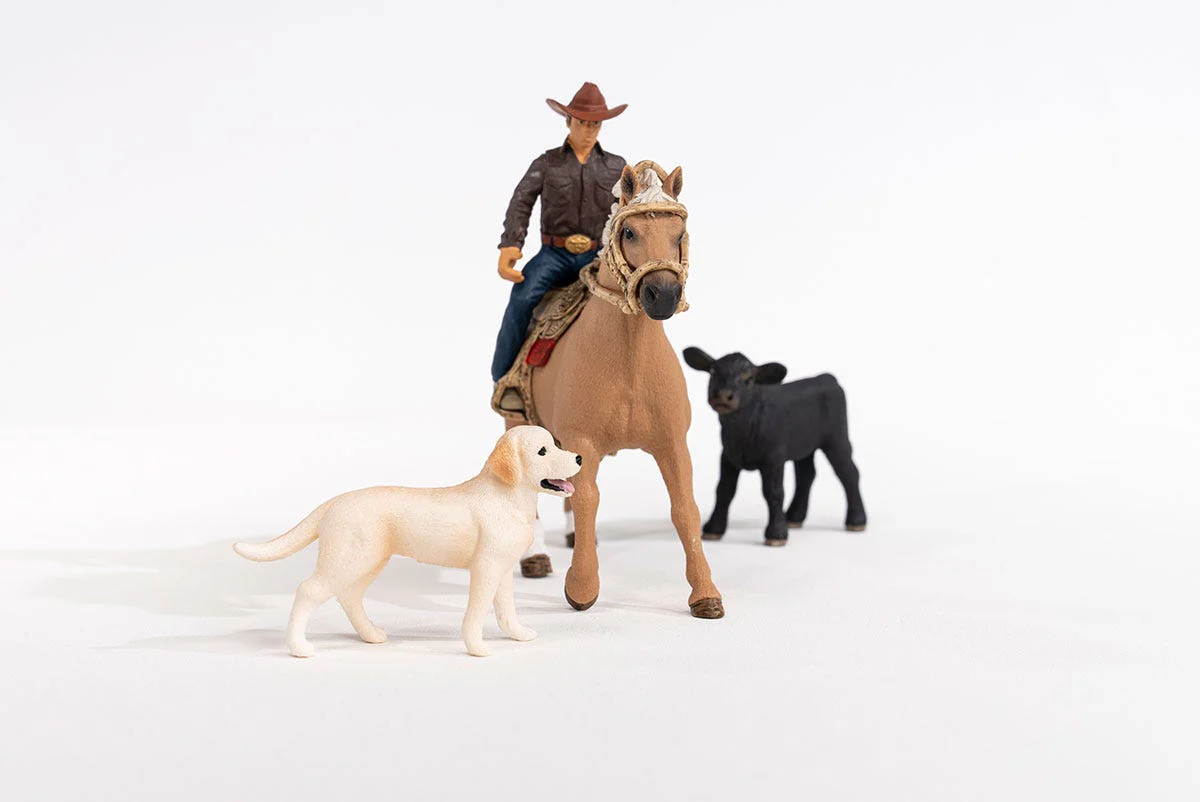 Westernreiten - Image 8