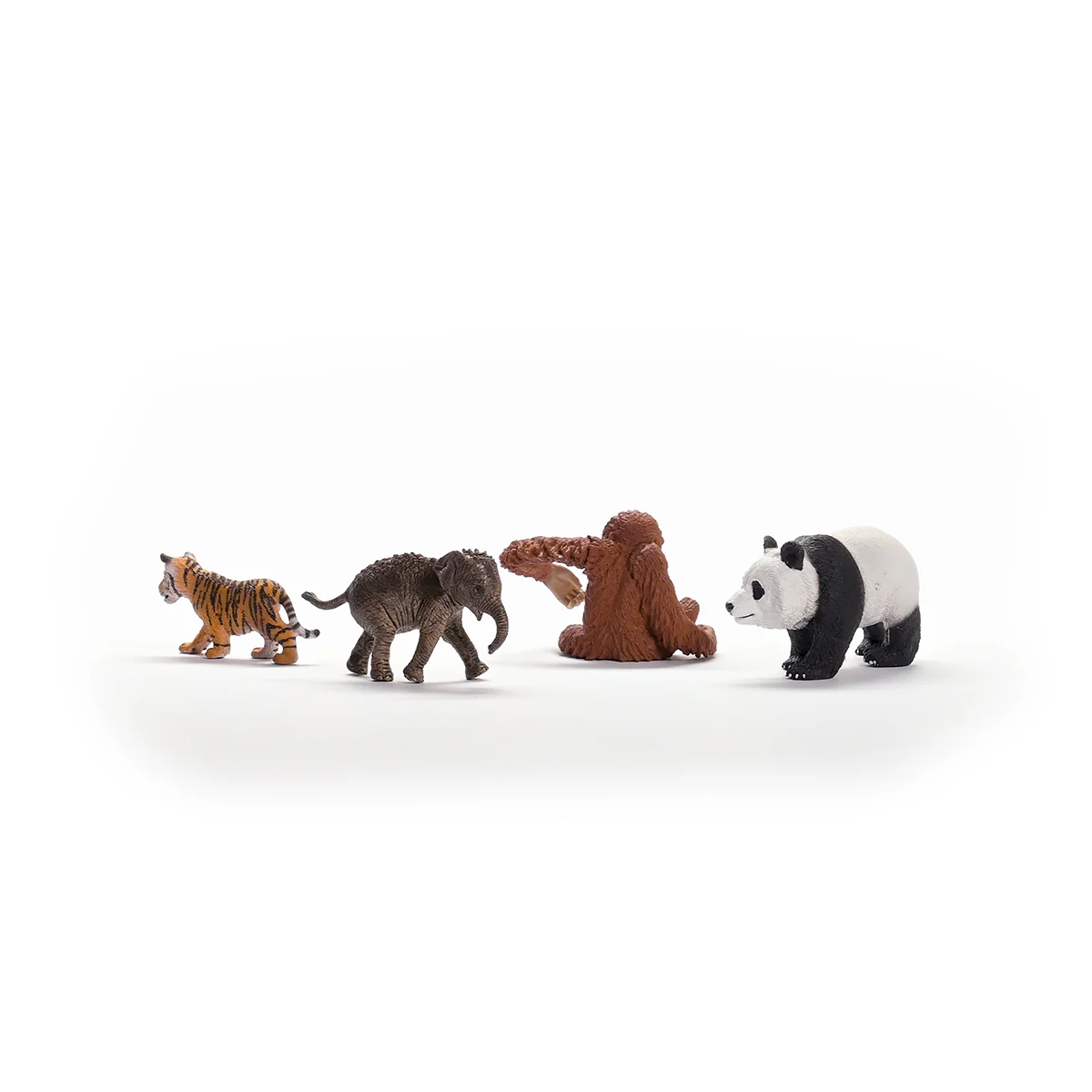 Wild Life Asien Starter-Set - Image 3