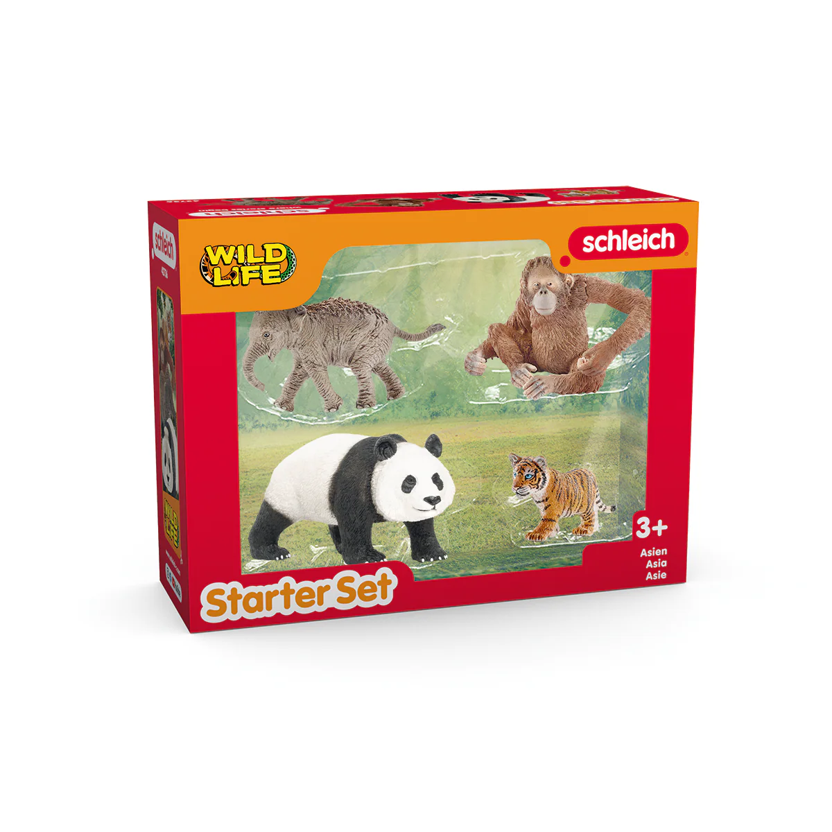 Wild Life Asien Starter-Set - Image 4